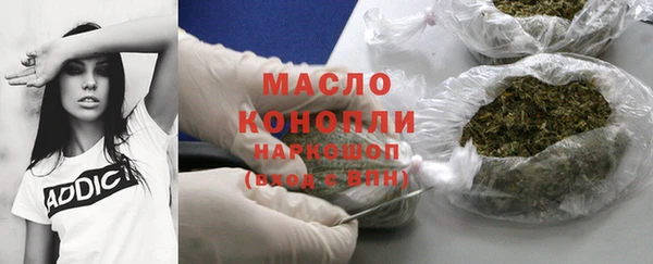 индика Коряжма