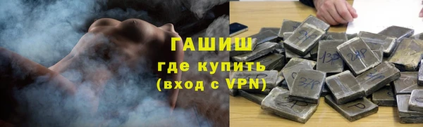 индика Коряжма