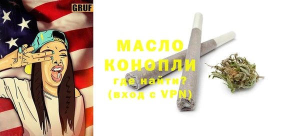 индика Коряжма