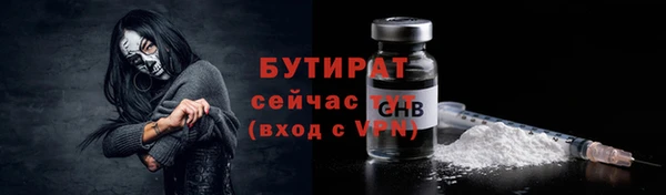 индика Коряжма