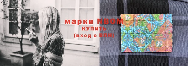 индика Коряжма