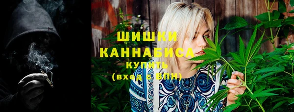 индика Коряжма