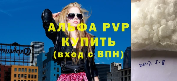 индика Коряжма