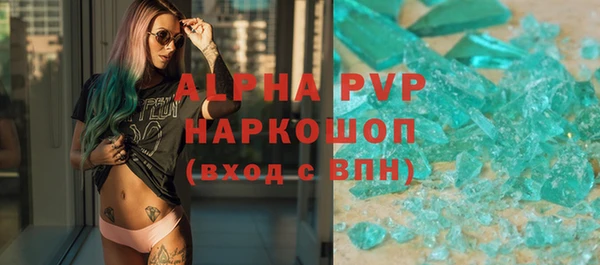 индика Коряжма