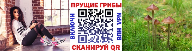 Купить  Макарьев  Псилоцибиновые грибы мухоморы 